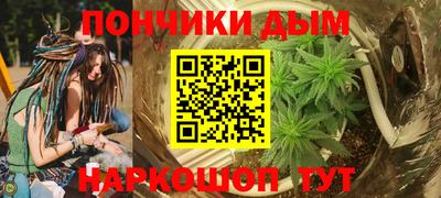 шишки Конаково