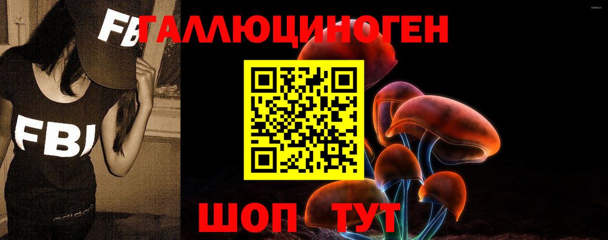 Псилоцибиновые грибы GOLDEN TEACHER  Вход с VPN  Кемерово  Псилоцибиновые грибы мицелий 